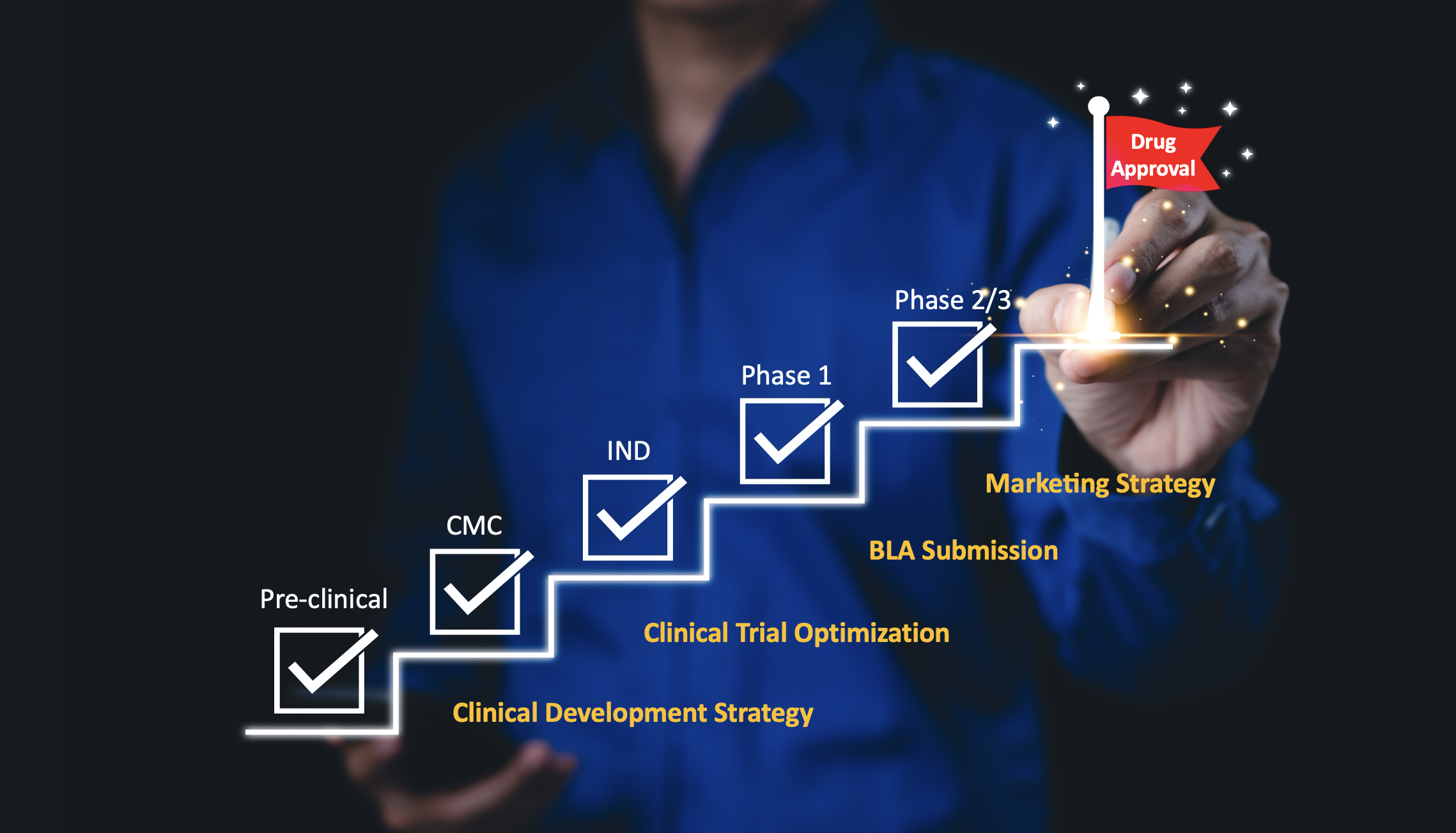 the image show the process from pre-clinical to drug approval step by step